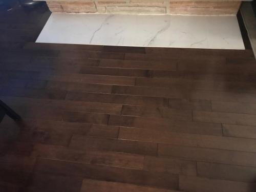 Hardwood Floor and Tile Fireplace Hearth Inlay